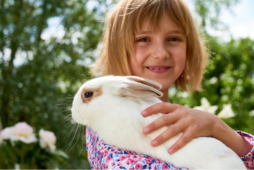Girl being kind to her pet rabbit